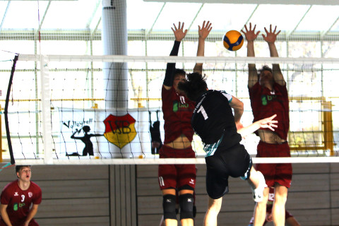 Volleyball : Herren  und Damen 1 spielen daheim