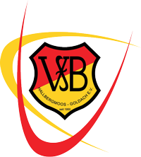 VfB Hallbergmoos